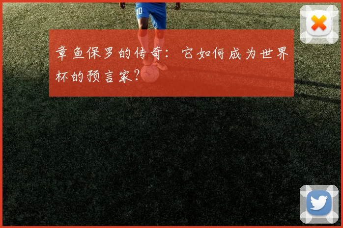 章鱼保罗的传奇：它如何成为世界杯的预言家？